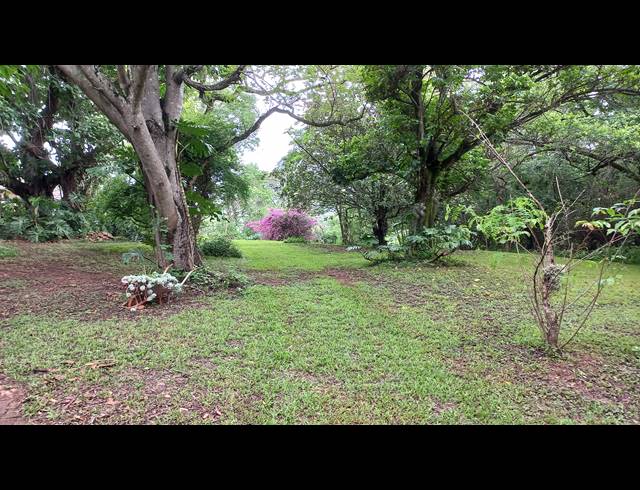 72HA FARM FOR SALE IN NELSPRUIT RURAL
